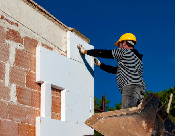 Best Best Insulation Companies  in Venus, TX
