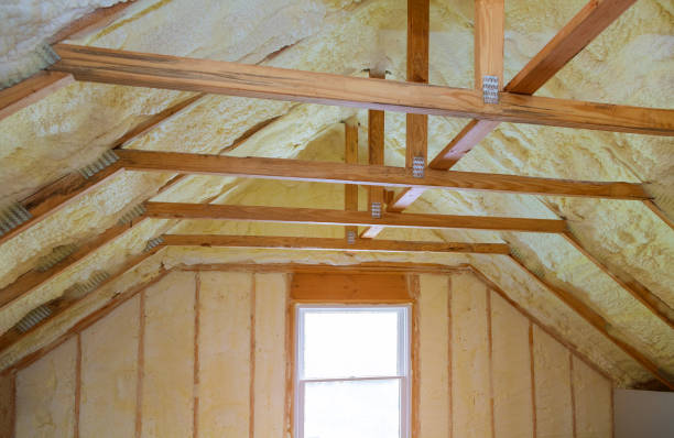 Best Insulation Contractors for Homes  in Venus, TX