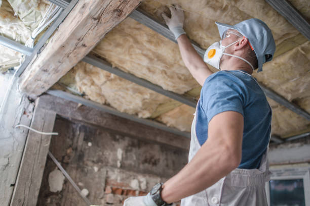 Best Affordable Insulation Services  in Venus, TX