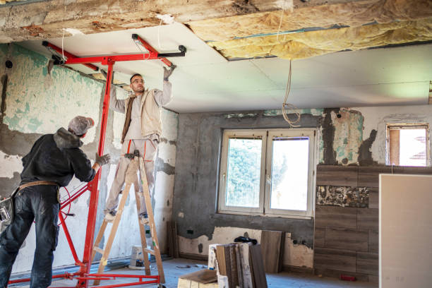 Best Insulation Contractors for Homes  in Venus, TX