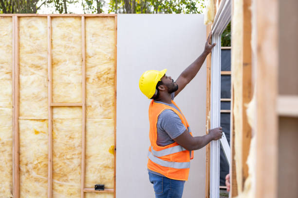 Best Insulation for New Construction  in Venus, TX
