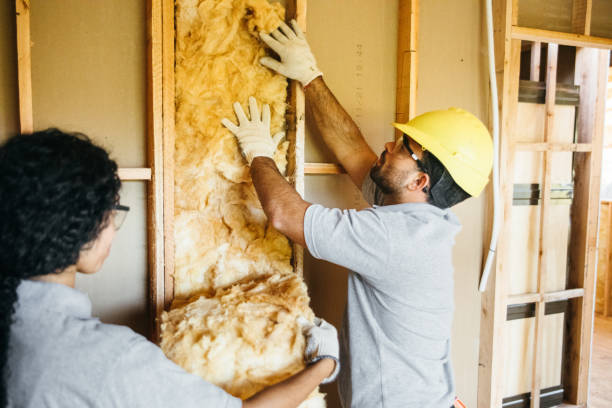 Best Soundproof Insulation Installation  in Venus, TX