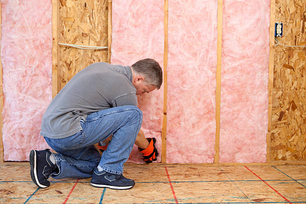 Best Insulation for New Construction  in Venus, TX