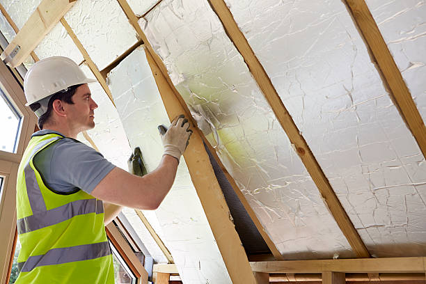 Best Professional Insulation Contractor  in Venus, TX
